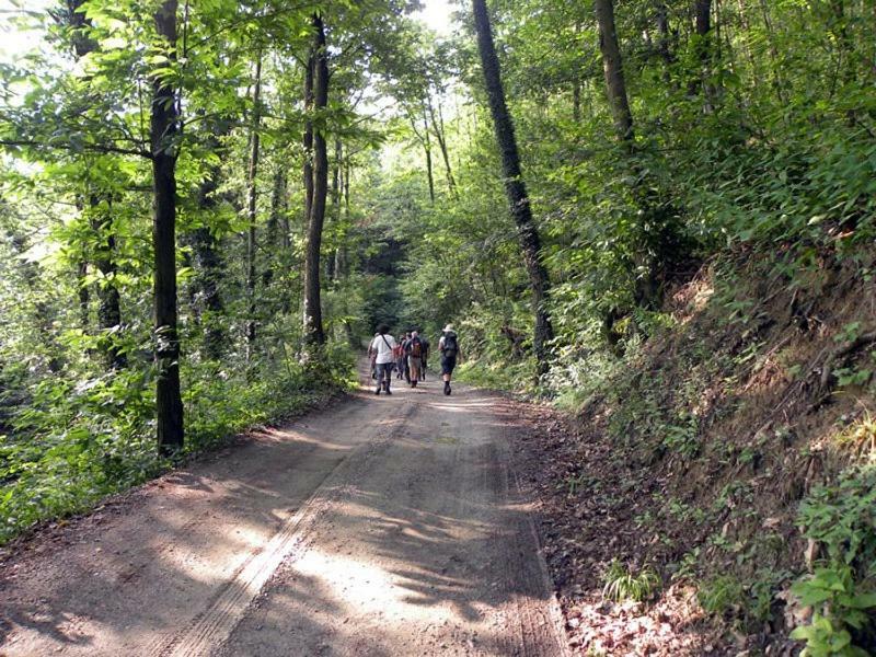 Emeroteca Del '900 Casalborgone Εξωτερικό φωτογραφία